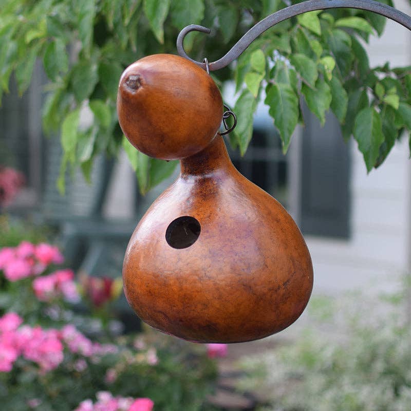 Bungalo Gourd Birdhouse — Walnut