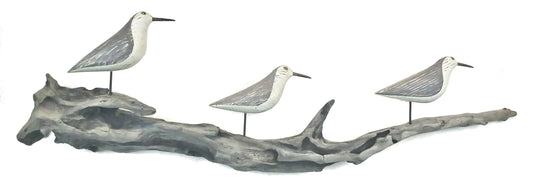 Sandpipers on Driftwood