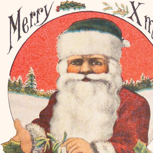 Peace and Goodwill Funny Christmas Card