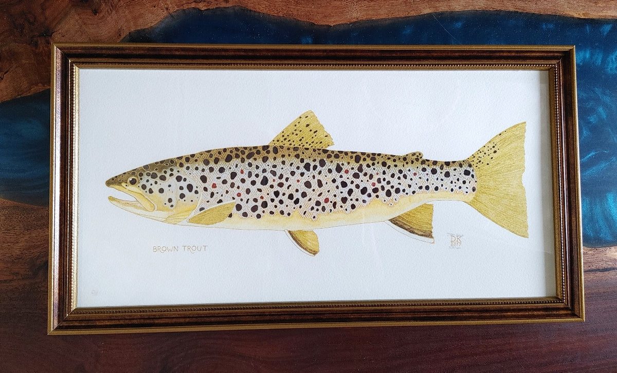 dani-knope-brown-trout-fish-framed-artwork