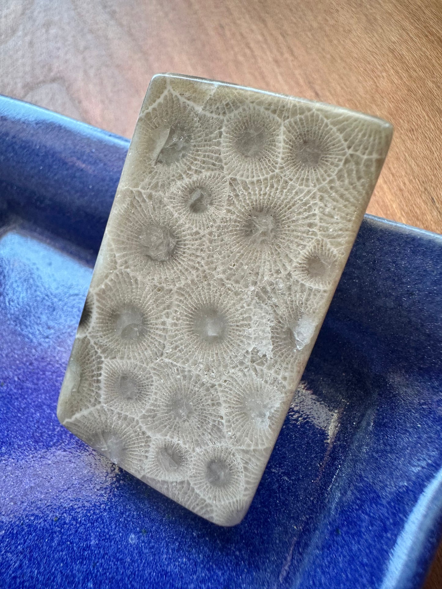 Petoskey Stone Money Clip