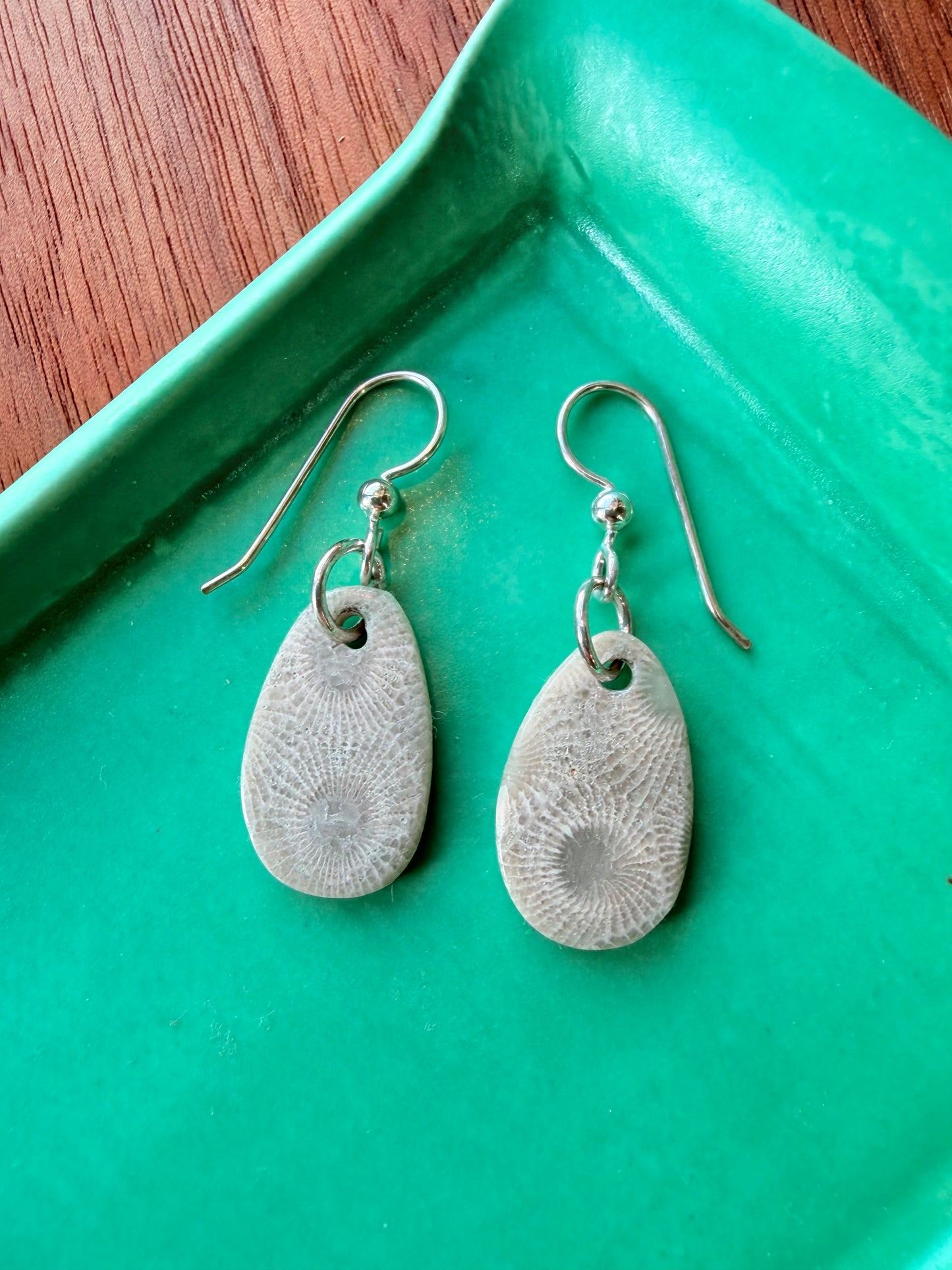 Petoskey Stone Earrings