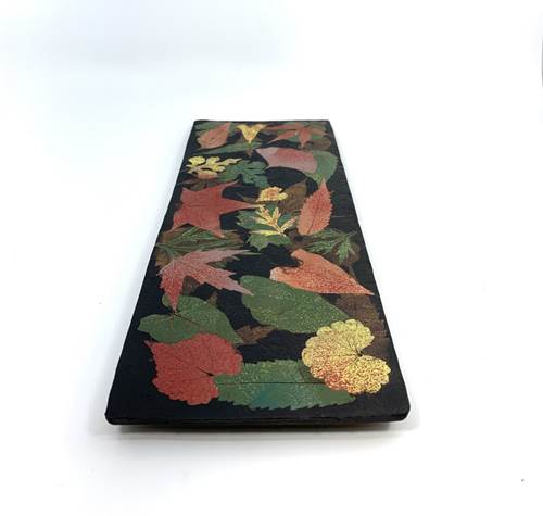 Small Multicolor Sushi Tray