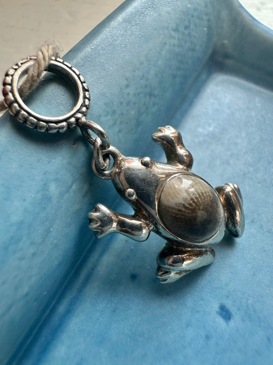 Petoskey Stone and Silver Charm