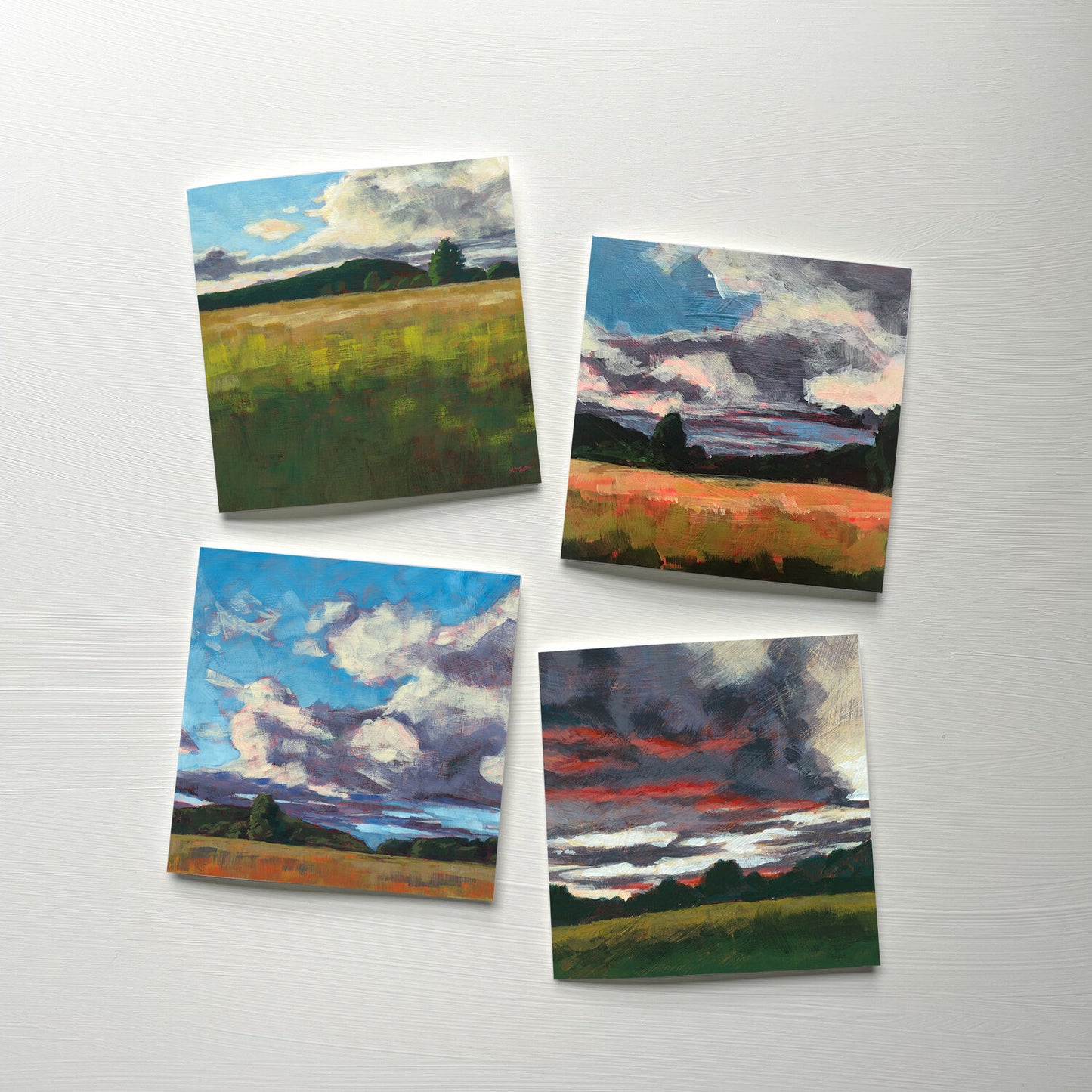 Open Air Cards Pack of 4