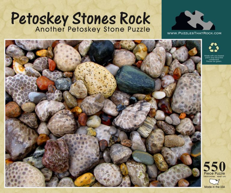 Petoskey Stone Rock Puzzle