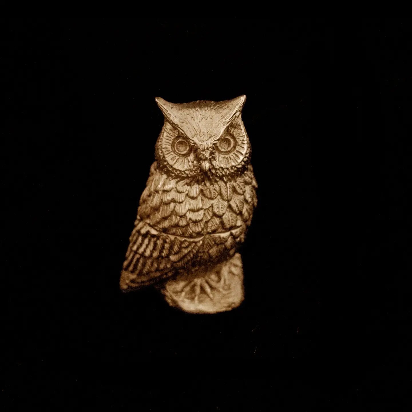 Screech Owl Trinket Box