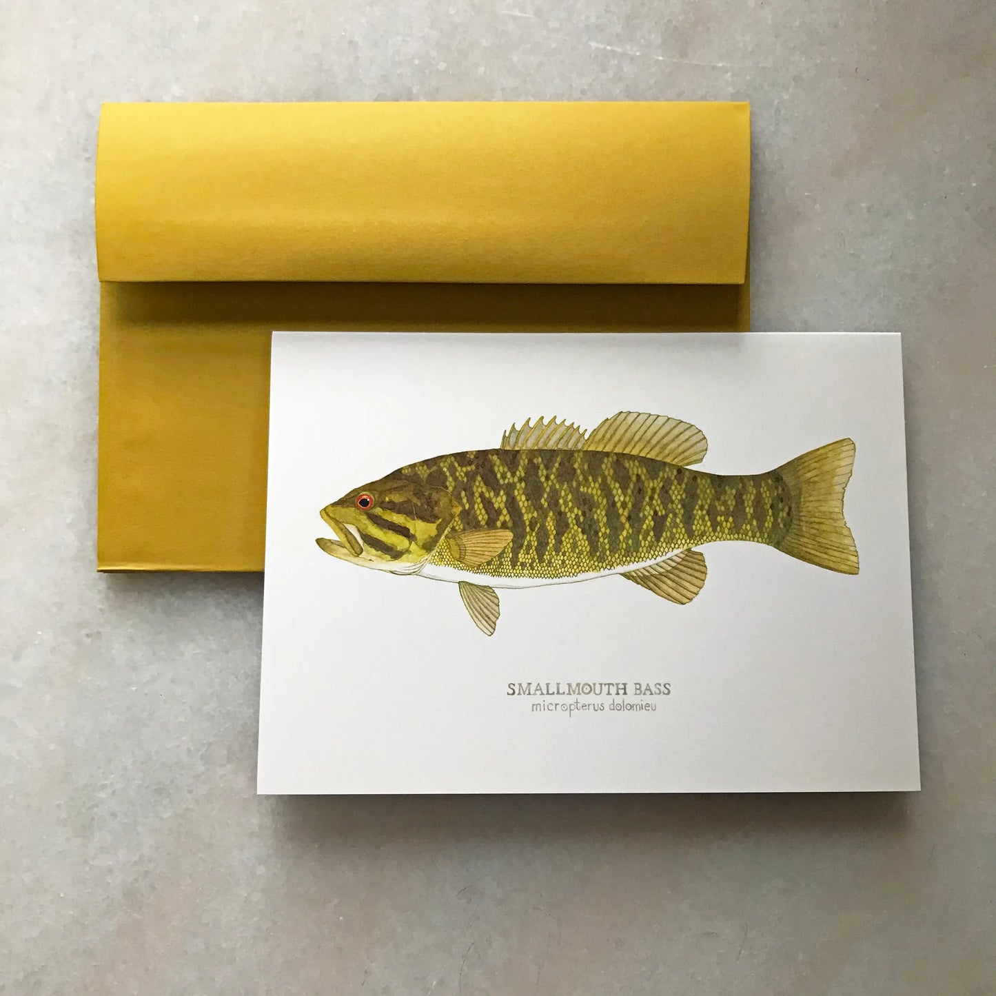 Smallmouth Bass Greeting Card