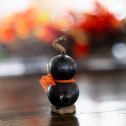 Lil Crow Gourd - Fall Decor