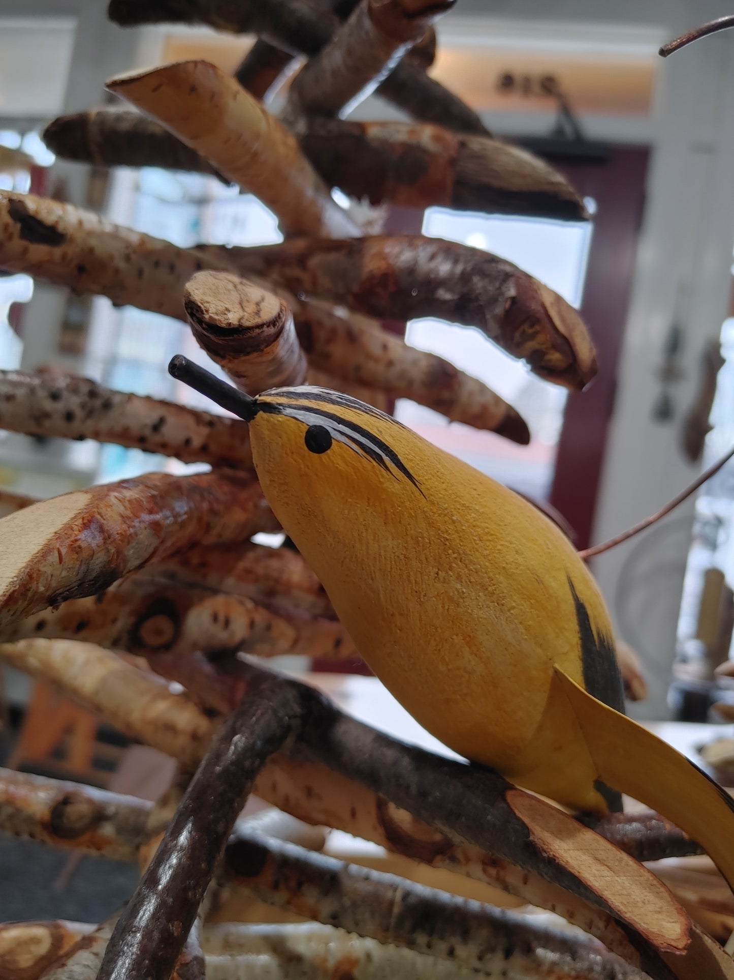 Flying Painted Birds