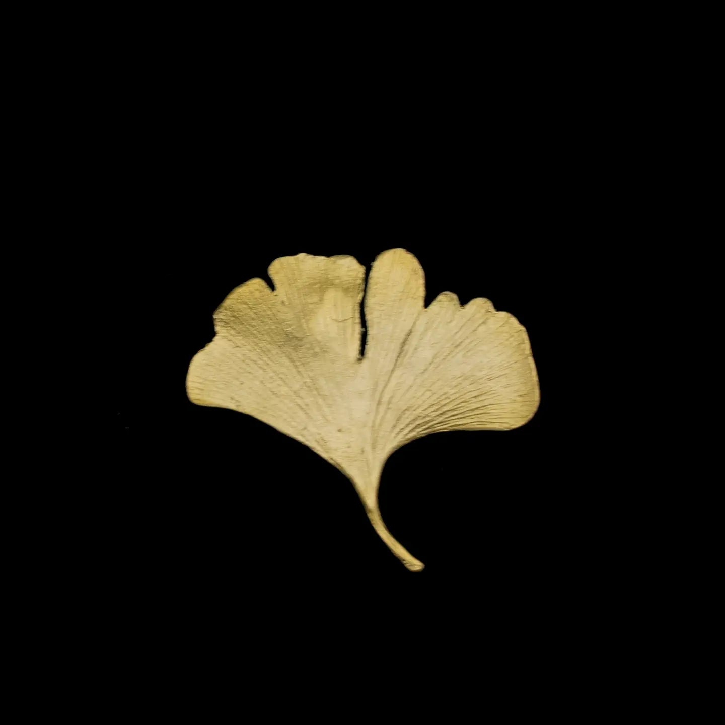 Gold Gingko Brooch