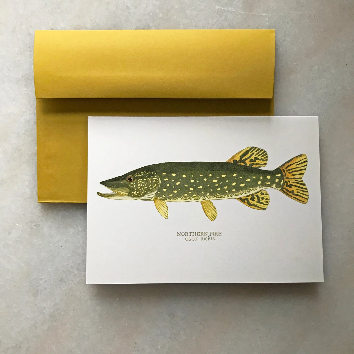 Northern Pike Greeting Card