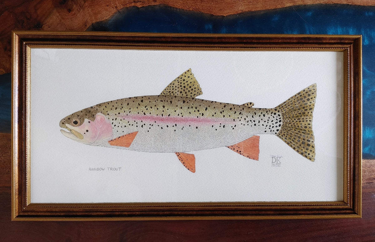 rainbow-trout-fish-print-framed-the-painted-bird
