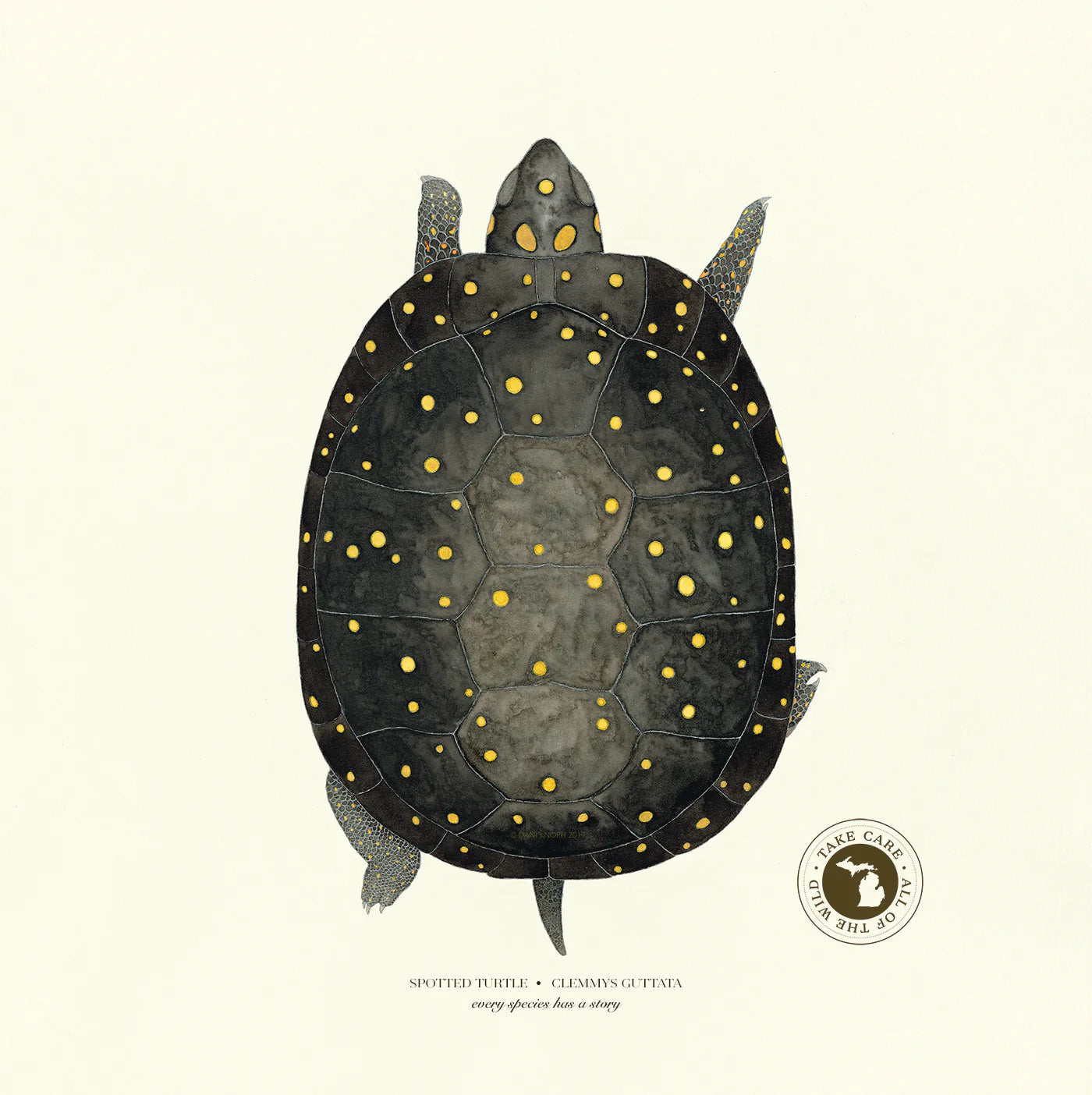 Spotted Turtle Print