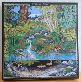 Streambank Puzzle