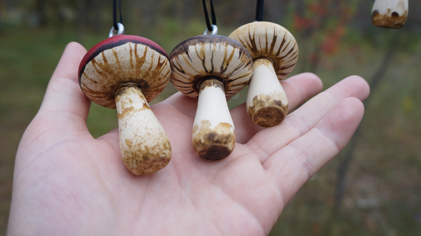 Hand Painted Wooden Mushroom Ornament