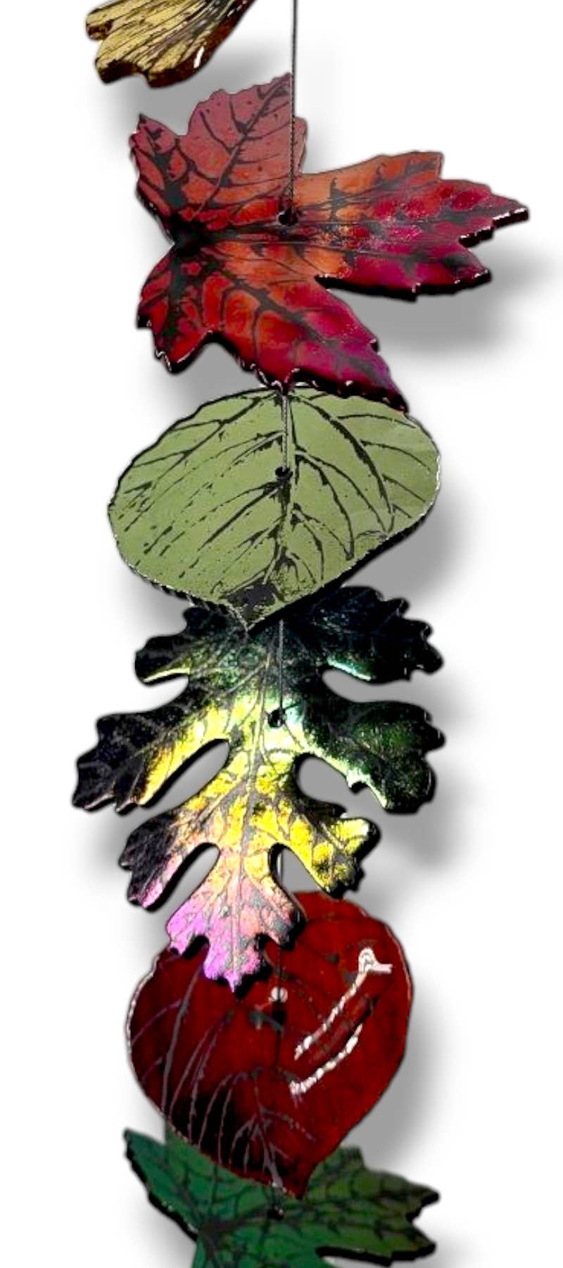 Earth Medley: MEDIUM