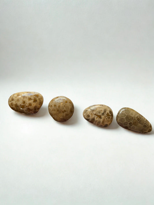 Petoskey Stone Wine Stopper