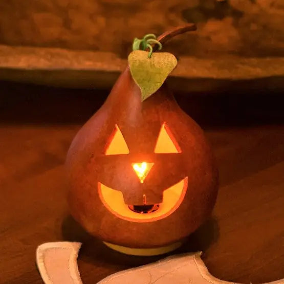 Traditional Small Lit Gourd - Jack