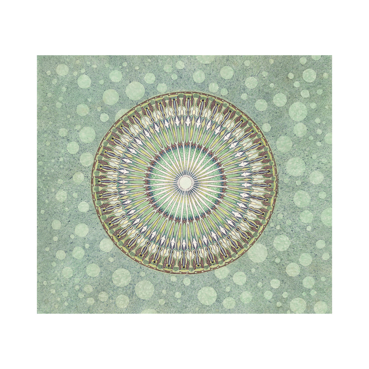 The Secret Life of Plants - 14.5" x 12.5"