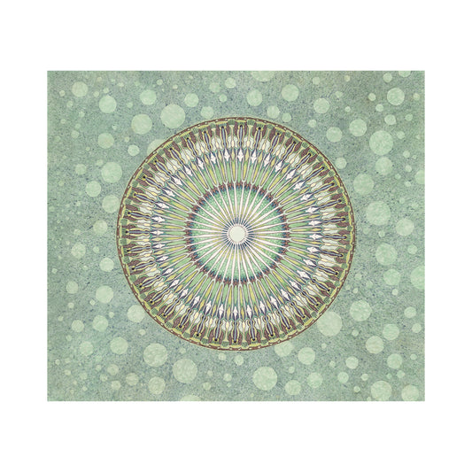 The Secret Life of Plants - 14.5" x 12.5"