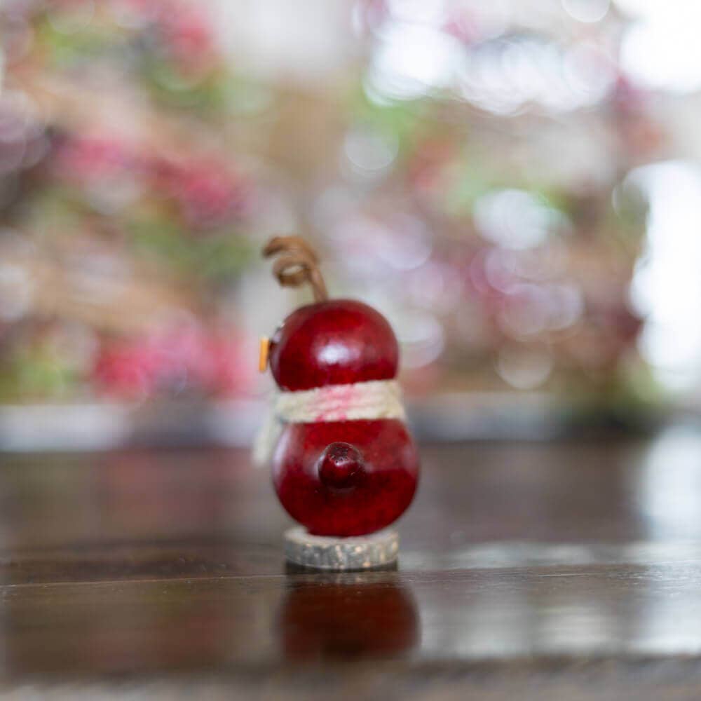 Hand-Crafted Gourd - Lil Red Birdie - Animal Decor