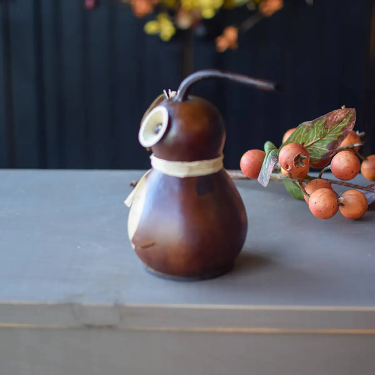 Professor Owl Gourd