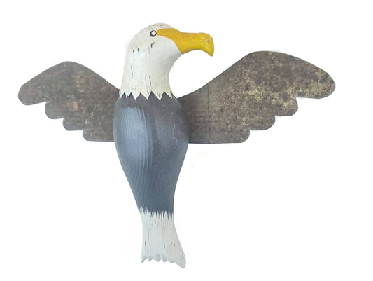 Flying Eagle with Rusty Wings