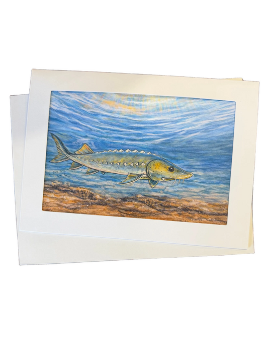 Lake Sturgeon Card