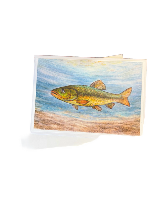 Creek Chub Card