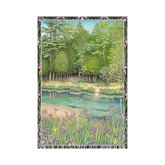Crystal River Print - 10" x 13.25"