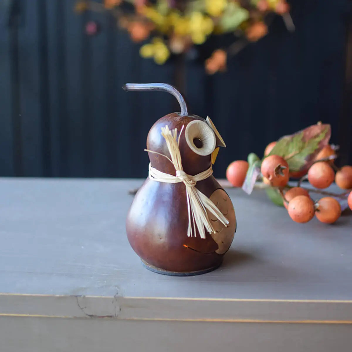 Professor Owl Gourd