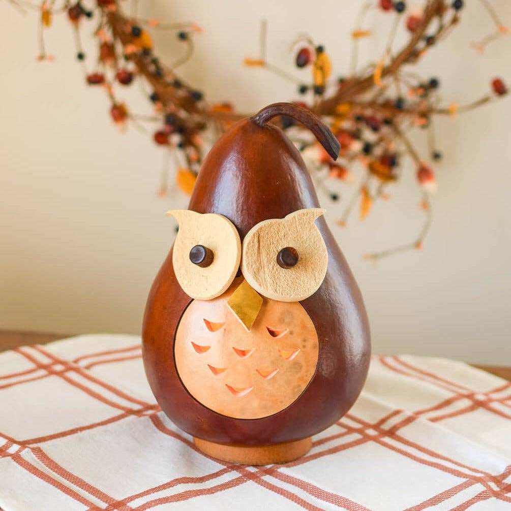 Owl Gourd Luminary - Professor Owl Small Lit