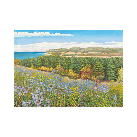Asters at Port Oneida Print - 14.5" x 20.5"