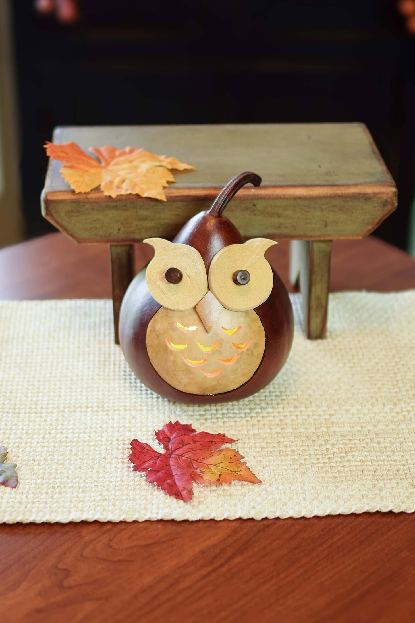 Owl Gourd Luminary - Professor Owl Small Lit