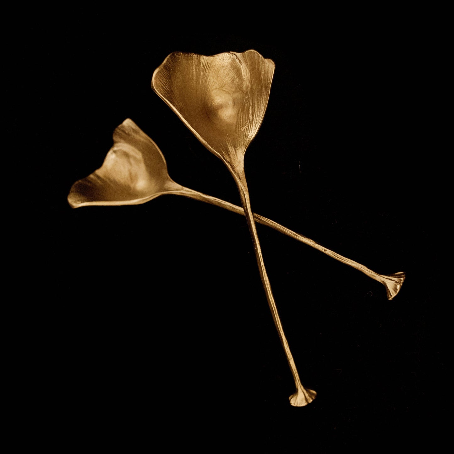 Ginkgo Spoons - Set of 2
