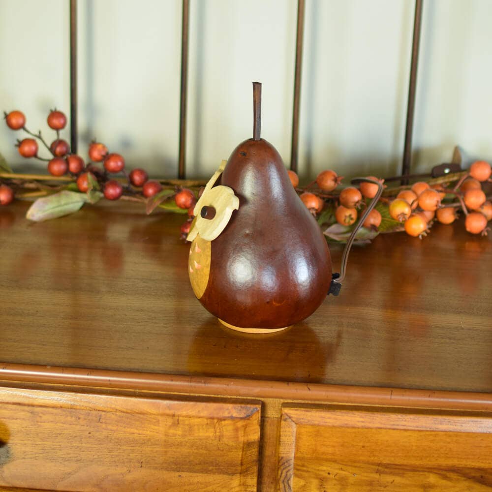 Owl Gourd Luminary - Professor Owl Small Lit