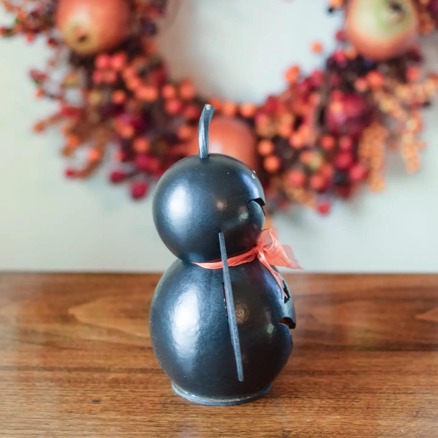 Miniature Echo Bat Gourd