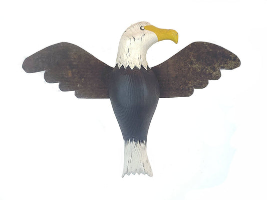 Flying Eagle with Rusty Wings