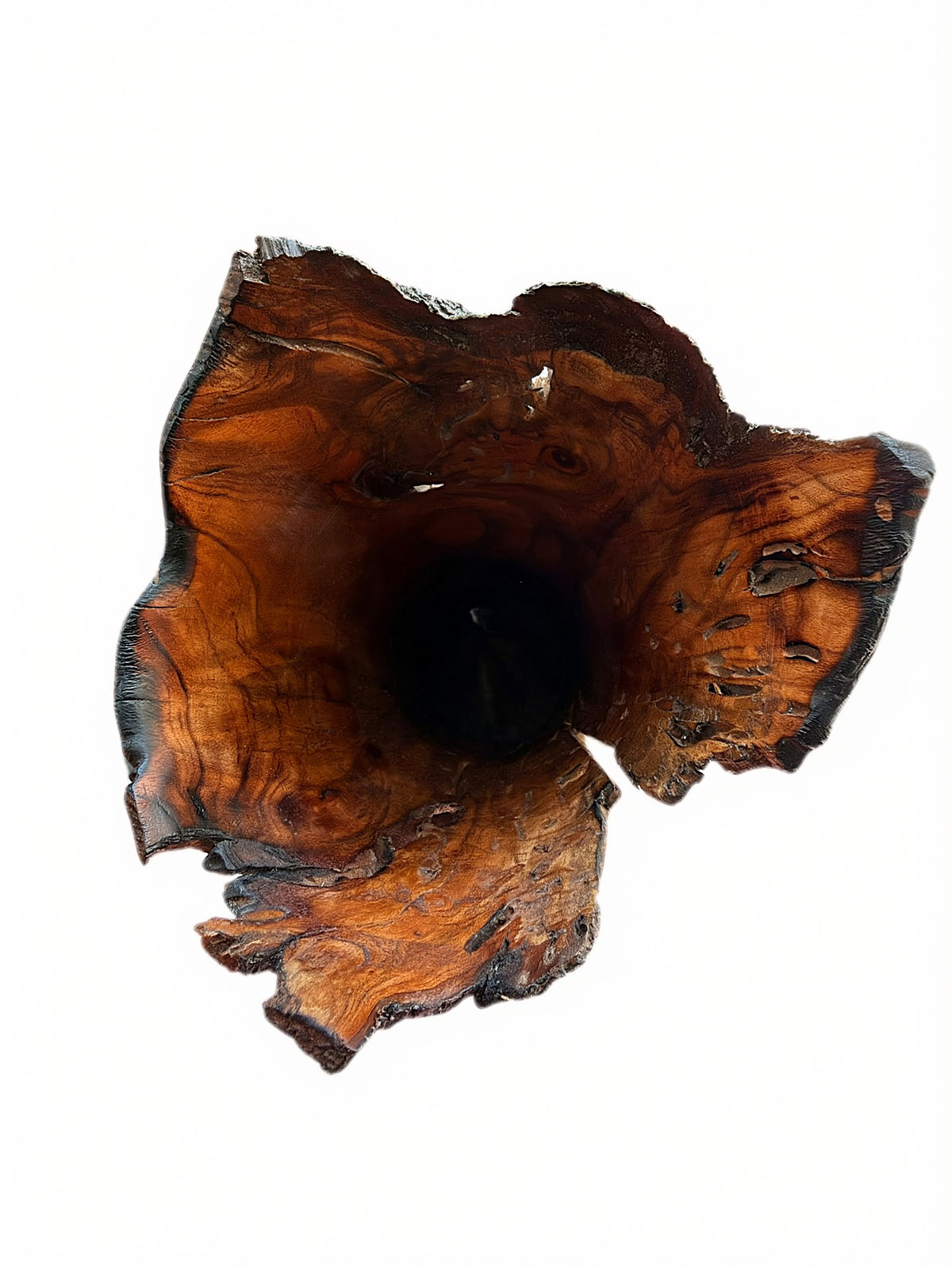 Wild Plum Vase