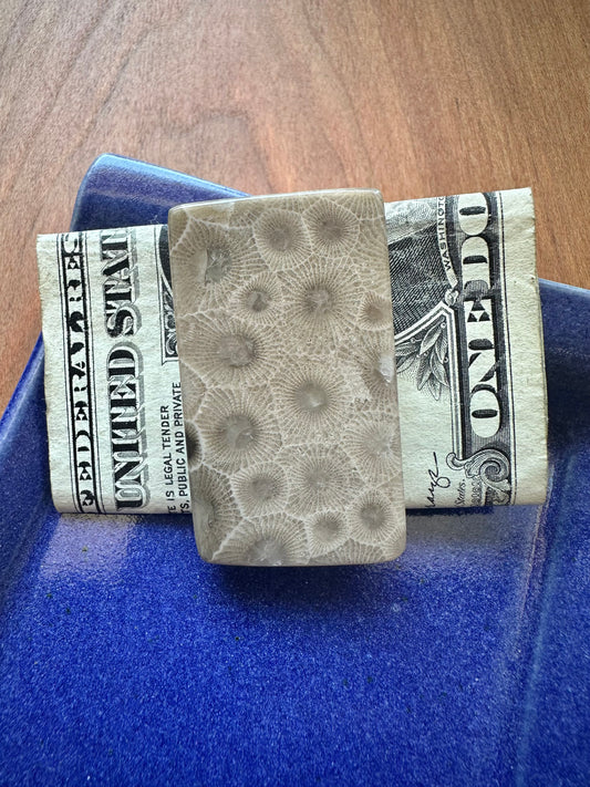 Petoskey Stone Money Clip