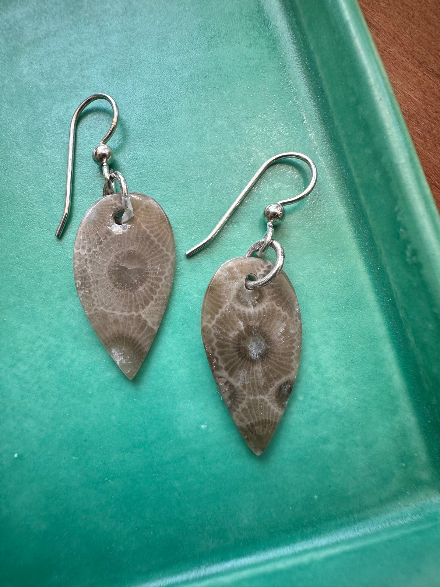 Petoskey Stone Earrings