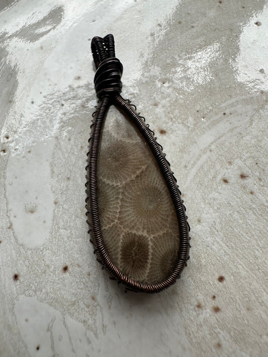 Wire Wrapped Petoskey Stone Pendant