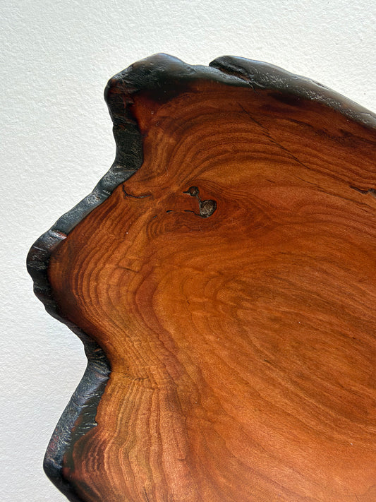 Plum Wood Dish - Carved & Burned