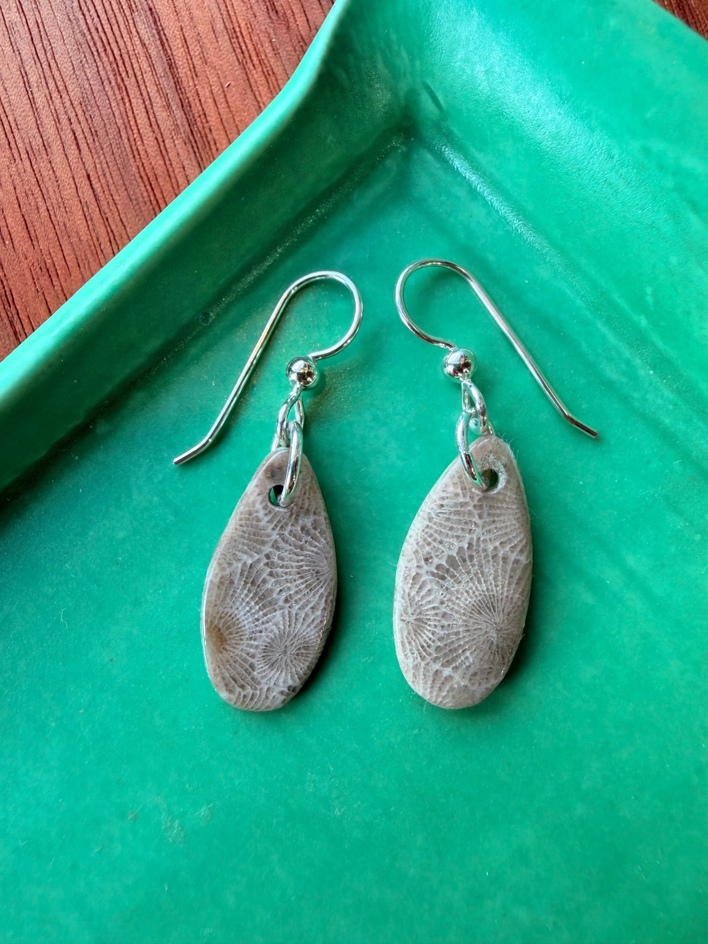Petoskey Stone Earrings