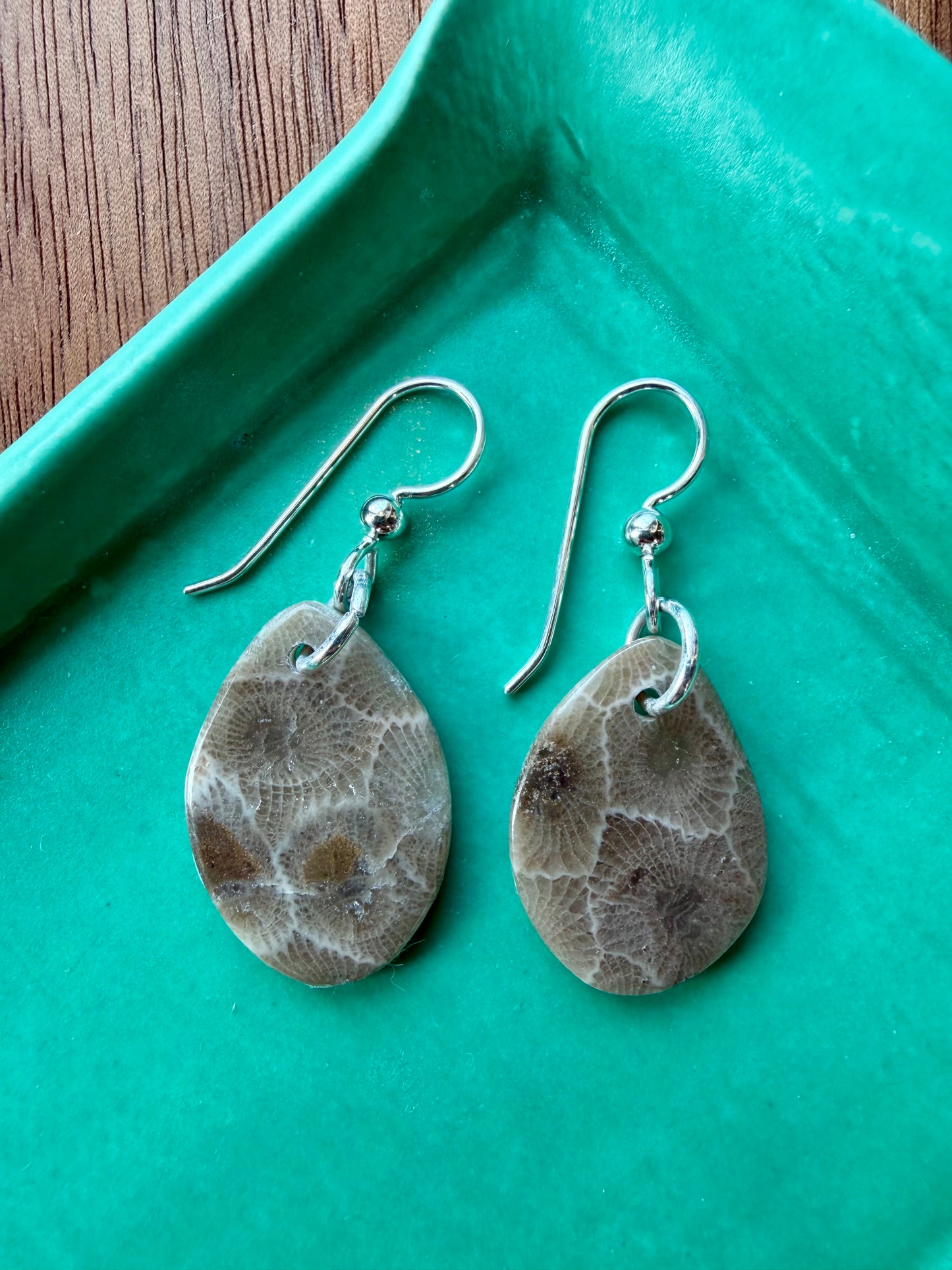 Petoskey Stone Earrings