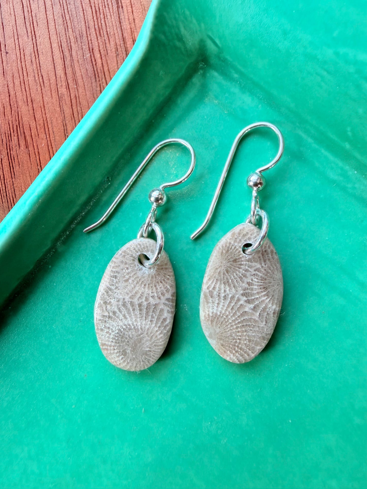 Petoskey Stone Earrings