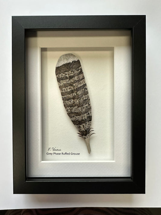 Framed Hand-Carved Wooden Feather - Ruffed Grouse