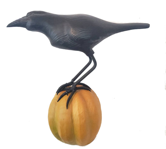 Crow on Pumpkin