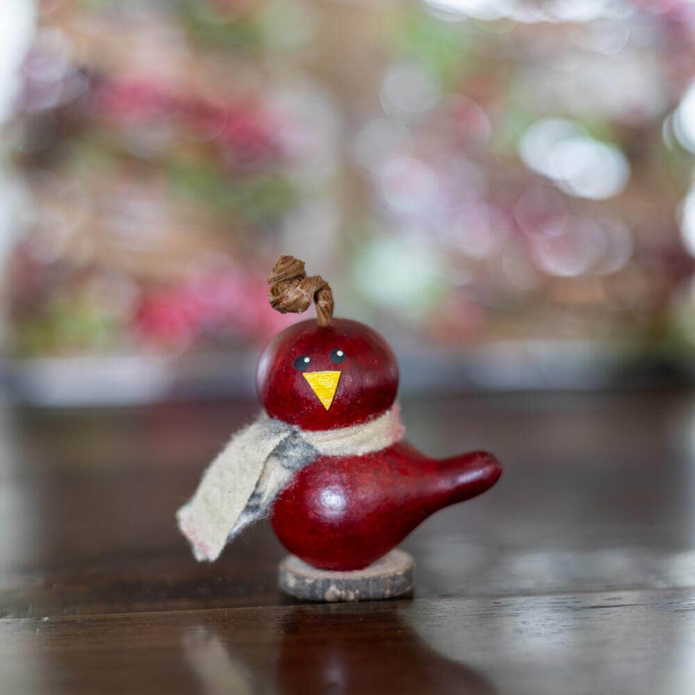 Hand-Crafted Gourd - Lil Red Birdie - Animal Decor